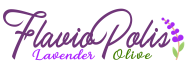 Falviopolis Lavender & Olive