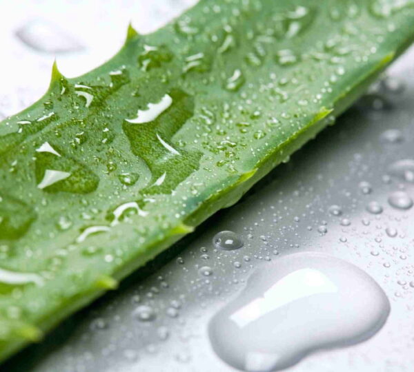 Aloe Vera Şampuan
